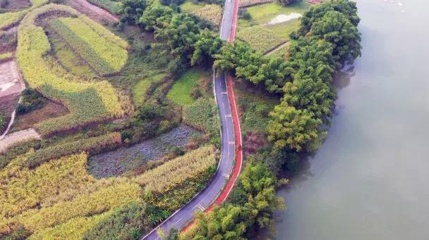 花山区文化广电体育和旅游局最新动态报道