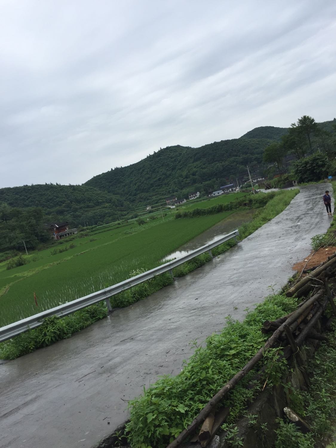 王兴镇天气预报更新通知