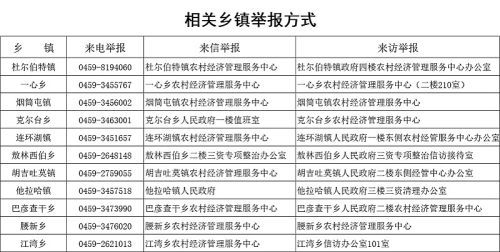 杜尔伯特蒙古族自治县托养福利事业单位最新项目概览