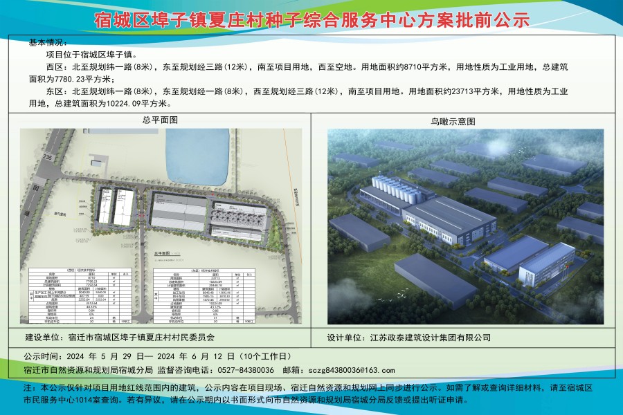 埠子镇未来繁荣蓝图，最新发展规划揭秘