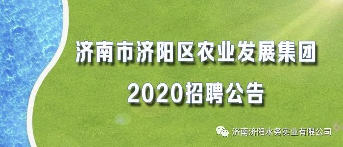 滨城区农业农村局招聘启事概览