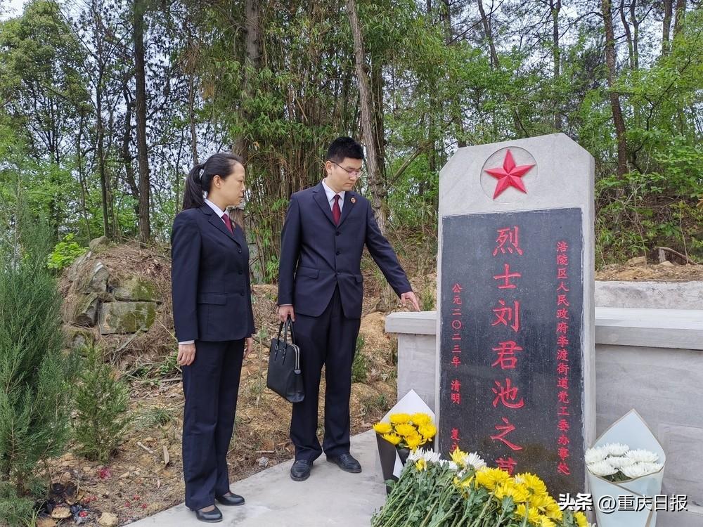 涪陵区退役军人事务局发展规划，构建新时代退役军人服务体系新篇章