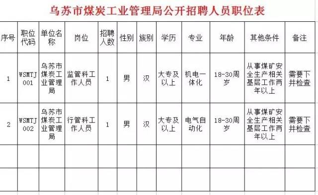 乌苏市人民政府办公室最新招聘详解