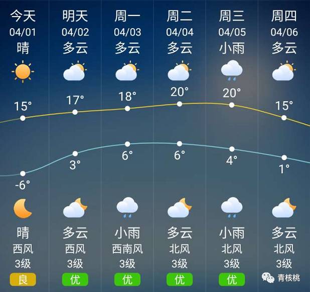 2025年1月19日 第9页